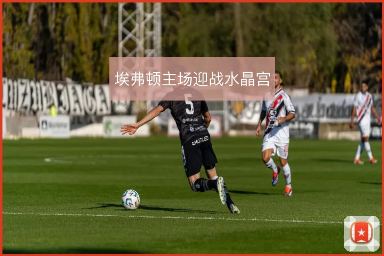 埃弗顿主场迎战水晶宫